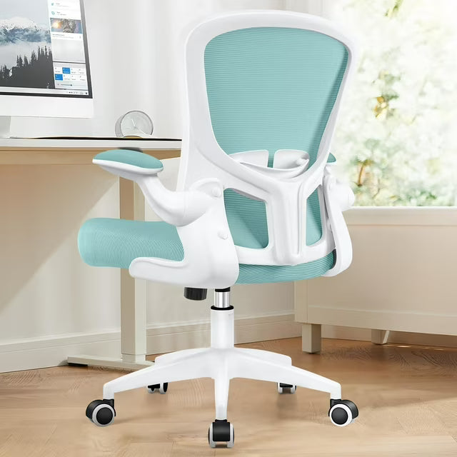 COOLHUT Office Chair with Lumbar Support and Flip-up Arms, Ergonomic Desk Chair