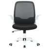 Coolhut Office Computer Desk Chair, Ergonomic Mesh Rolling Work Swivel Task Chairs with Wheels