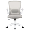 COOLHUT Office Chair, Ergonomic Office Chair with 8-year time warranty, Comfort Home Office Task Chair, Lumbar Support Computer Chair with Flip-up Arms and Adjustable Height, 350LBS