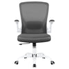 COOLHUT Office Chair, Ergonomic Office Chair with 8-year time warranty, Comfort Home Office Task Chair, Lumbar Support Computer Chair with Flip-up Arms and Adjustable Height, 350LBS