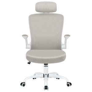 COOLHUT 5-point Support Ergonomic Office Chair 9060