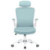 COOLHUT Office Chair Ergonomic Desk Chair, High Back Gaming Chair, Big and Tall Reclining Comfy Home Office Chair Lumbar Support Breathable Mesh Computer Chair Adjustable Armrests