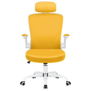 COOLHUT 5-point Support Ergonomic Office Chair 9060