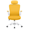 COOLHUT Office Chair Ergonomic Desk Chair, High Back Gaming Chair, Big and Tall Reclining Comfy Home Office Chair Lumbar Support Breathable Mesh Computer Chair Adjustable Armrests