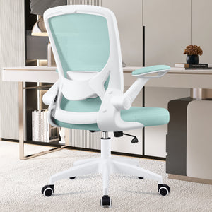 COOLHUT 5-point Support Ergonomic Office Chair 9060
