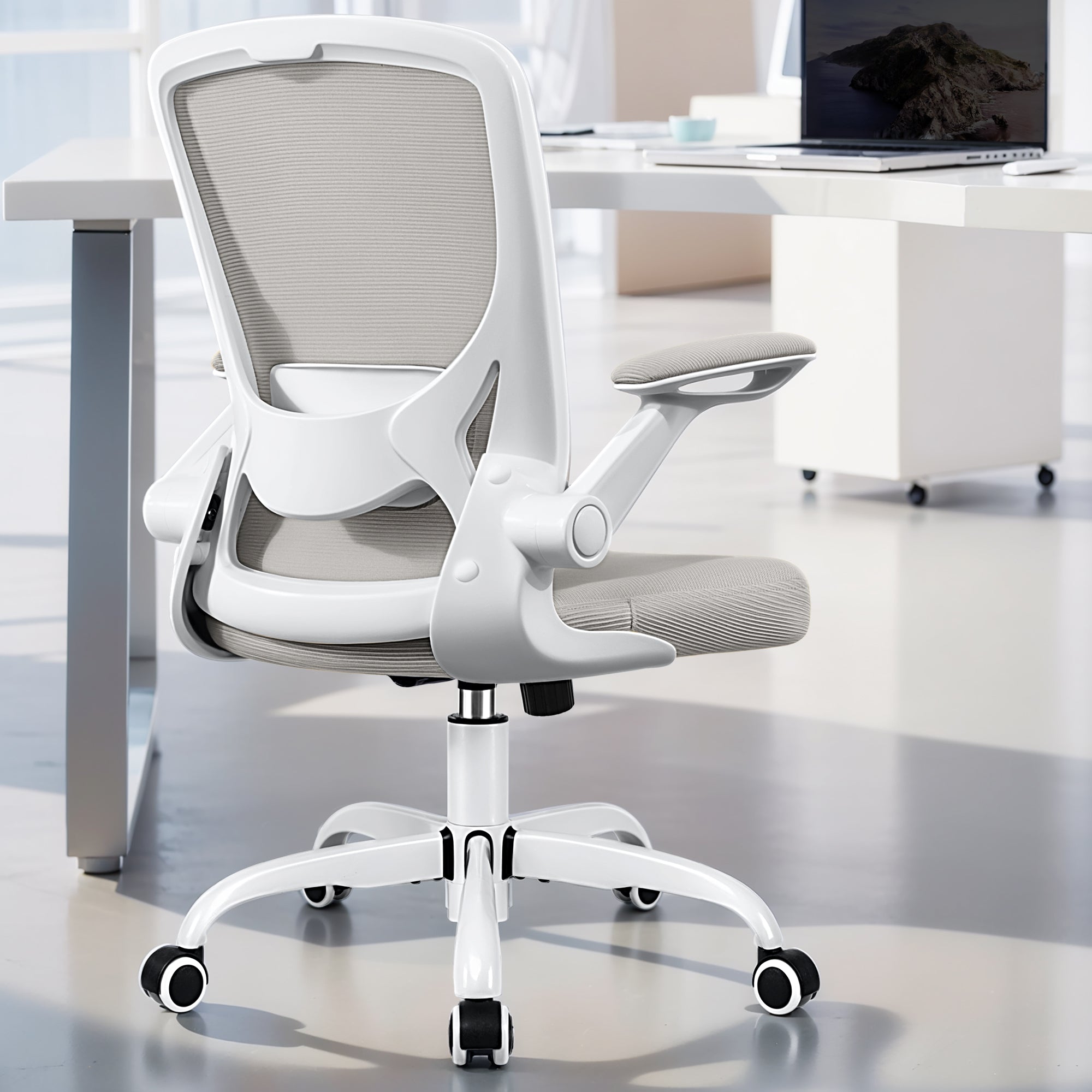 COOLHUT 5-point Support Ergonomic Office Chair 9060