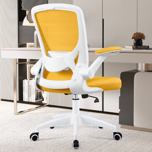 COOLHUT 5-point Support Ergonomic Office Chair 9060