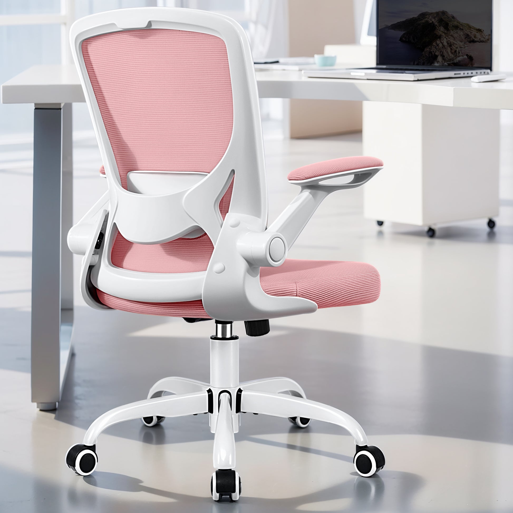 COOLHUT 5-point Support Ergonomic Office Chair 9060