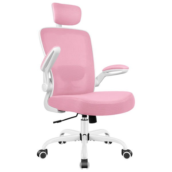 COOLHUT Dual-Lumbar Neck-Support Ergonomic Office Chair 918H-C