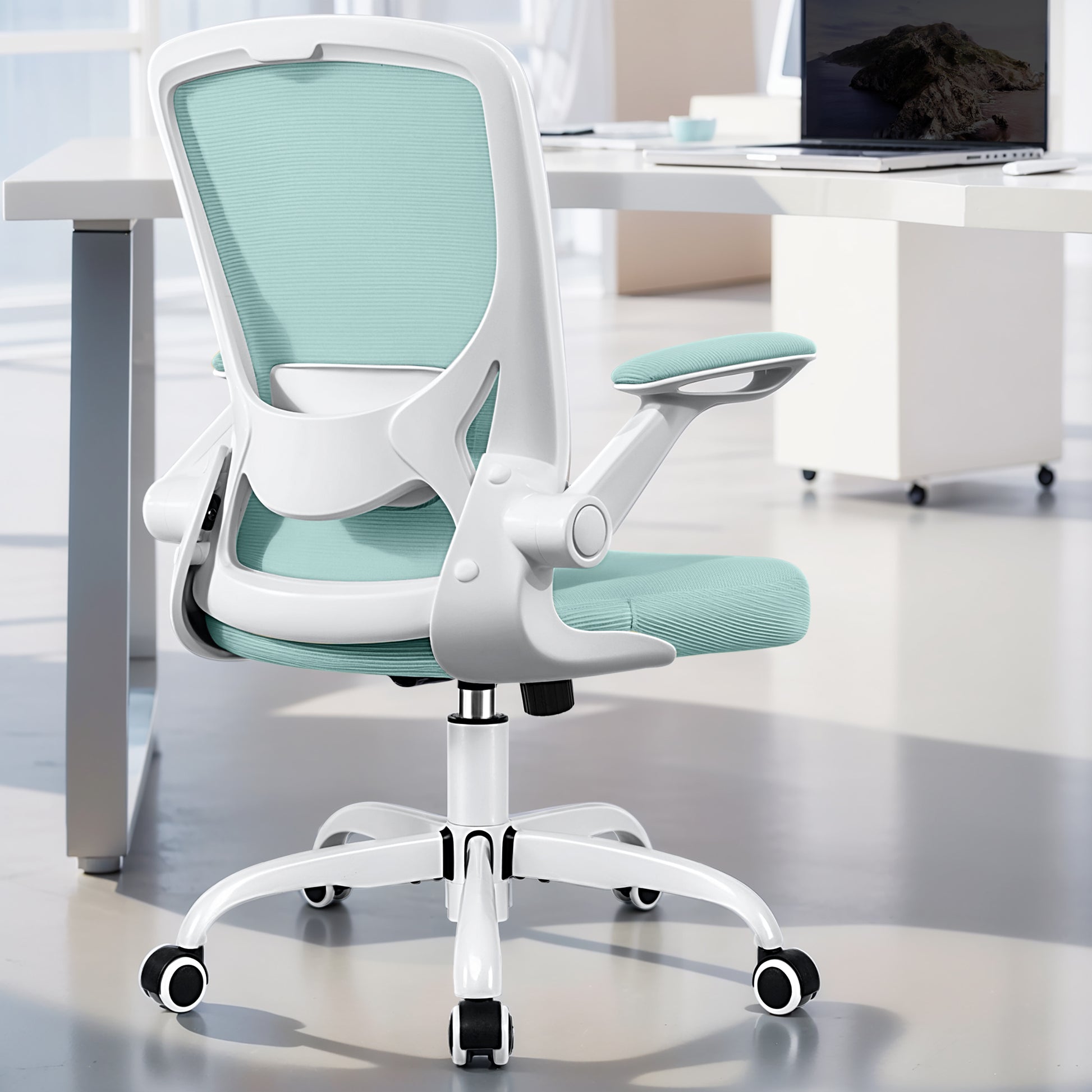 COOLHUT 5-point Support Ergonomic Office Chair 9060