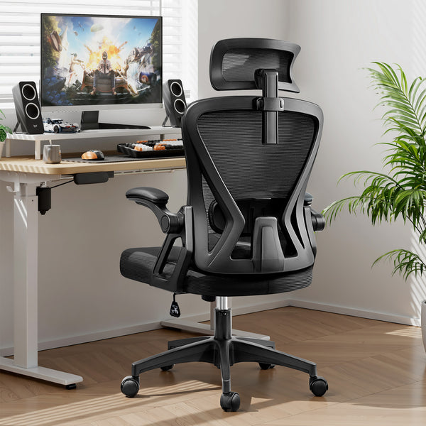 COOLHUT 3D High-back Ergonomic Office Chair 24-3