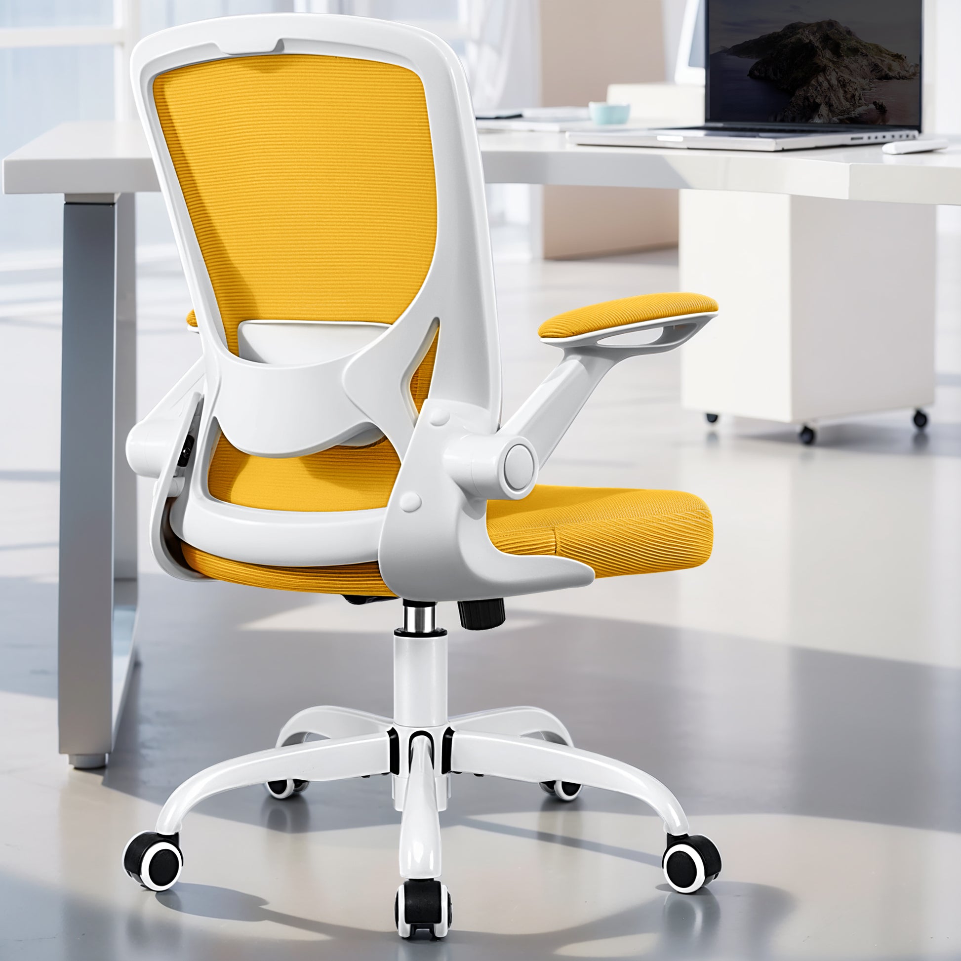 COOLHUT 5-point Support Ergonomic Office Chair 9060