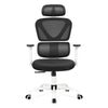 COOLHUT Ergonomic Office Chair, High Back Adjustable Computer Desk Chair with Lumbar Support, 500lb