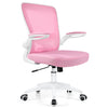 COOLHUT Dual-Lumbar Neck-Support Ergonomic Office Chair 918H-C