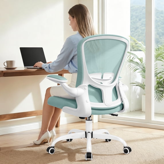 COOLHUT Office Chair, Ergonomic Desk Chair with Adjustable Lumbar Support, High Back Mesh Computer Chair with Flip-up Armrests-BIFMA Passed Task Chairs, Executive Chair for Home Office