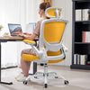 COOLHUT Office Chair Ergonomic Desk Chair, High Back Gaming Chair, Big and Tall Reclining Comfy Home Office Chair Lumbar Support Breathable Mesh Computer Chair