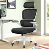 COOLHUT Office Chair, Ergonomic Desk Chair with Lumbar Support and Adjustable Armrests, Breathable Mesh Mid Back Computer Chair, Reclining Task Chair for Home Office