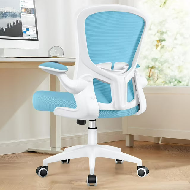 COOLHUT Office Chair with Lumbar Support and Flip-up Arms, Ergonomic Desk Chair