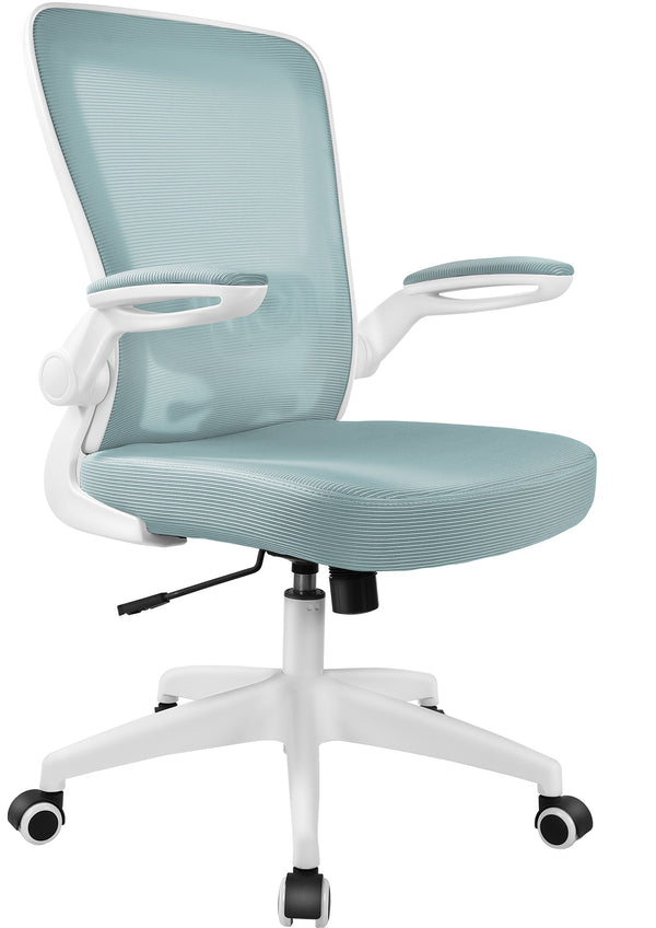 COOLHUT Dual-Lumbar Neck-Support Ergonomic Office Chair 918H-C